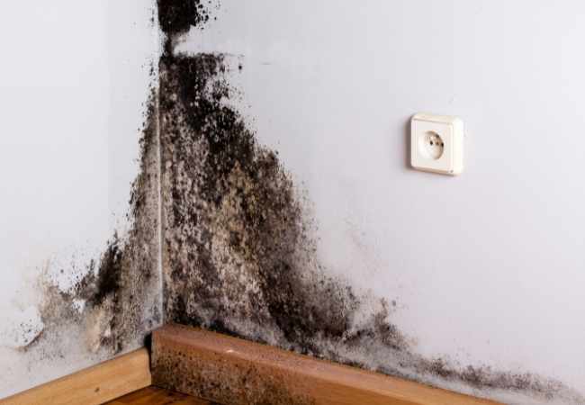 Humedades y moho negro en la pared de casa