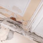 reparar una pared con humedad por filtracion