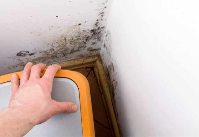 Quitar las humedades en paredes y el moho. Capilaridad y mohos