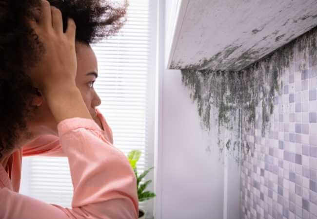 HUMEDAD Y MOHO EN CASA: ¿CÓMO RESOLVERLO?OK Humedades