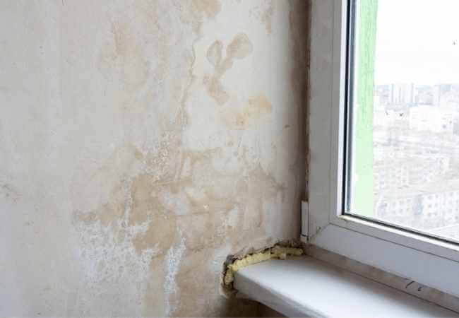 cómo reparar una pared con humedad