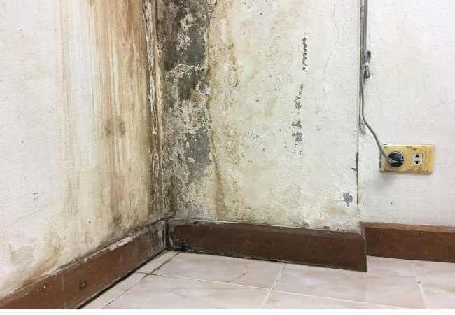 eliminar hongos paredes humedad