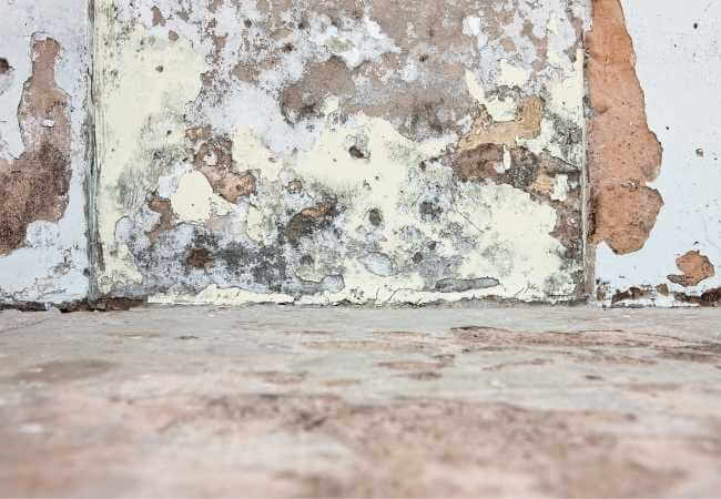 paredes con humedad de cimientos