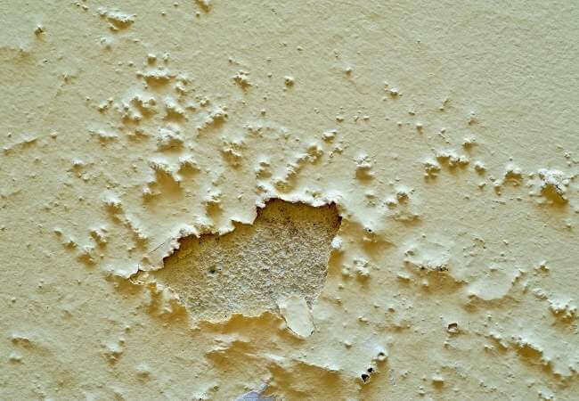 cubrir paredes con humedad