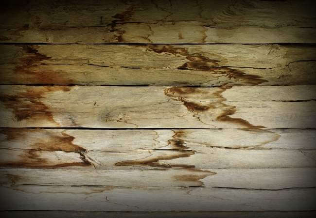 tratamiento madera contra humedad