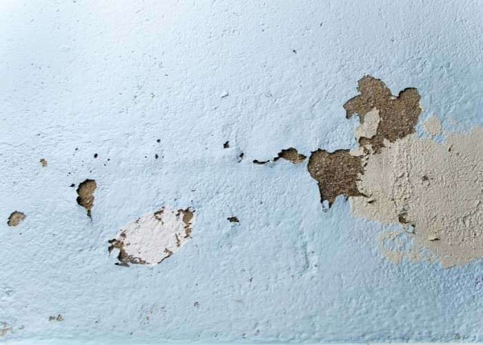 reparar pared desconchada por humedad